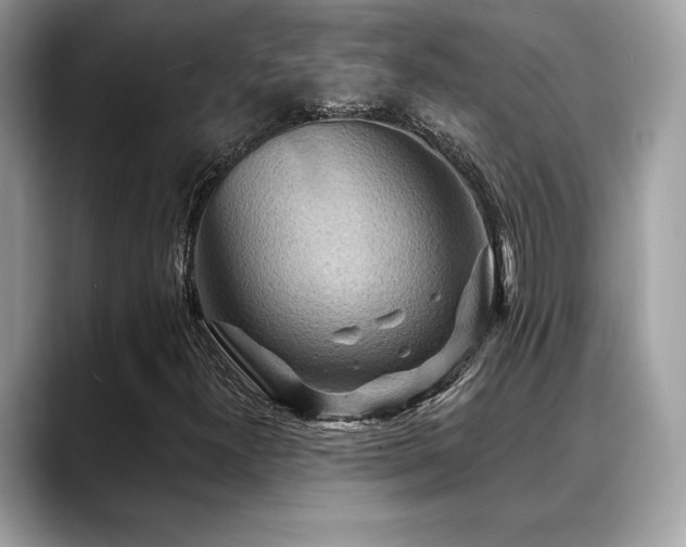 X0000088751300200705311504