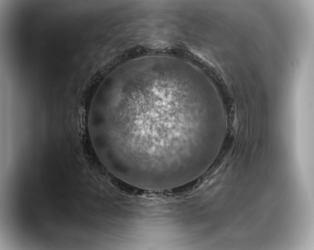X0000088751301200705311504