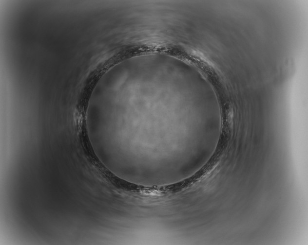 X0000088751302200705311504