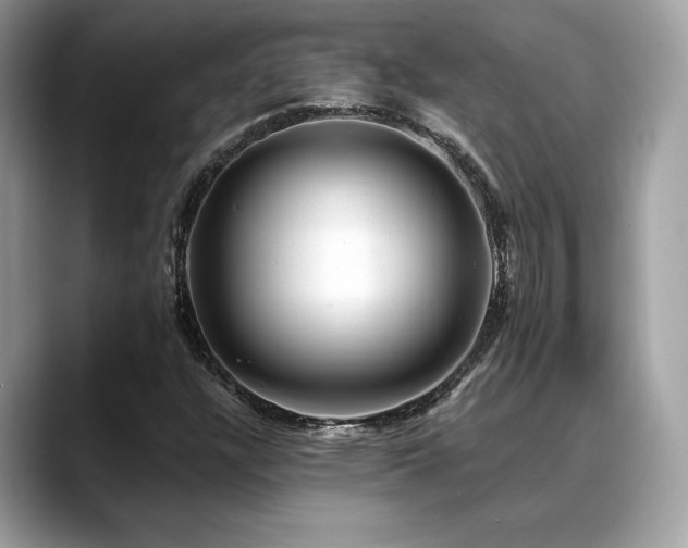 X0000088751304200705311504
