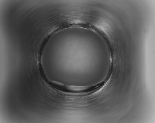 X0000088751305200705311504