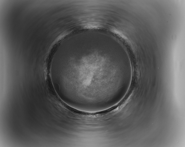 X0000088751306200705311504