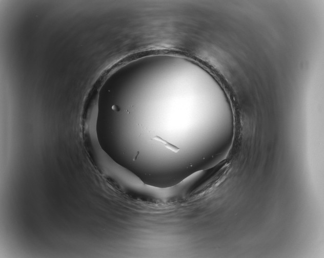 X0000088751308200705311504