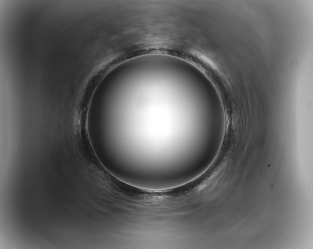 X0000088751309200705311504