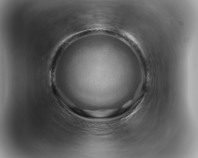 X0000088751310200705311504