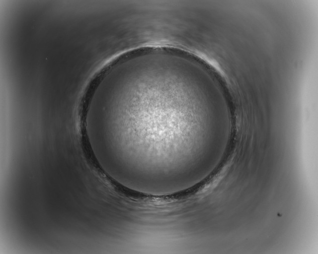 X0000088751311200705311505