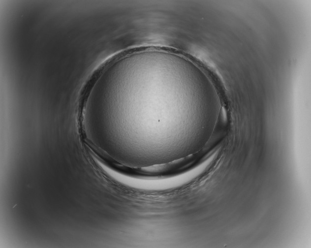 X0000088751312200705311505