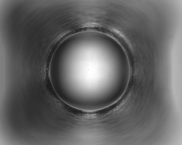 X0000088751313200705311505