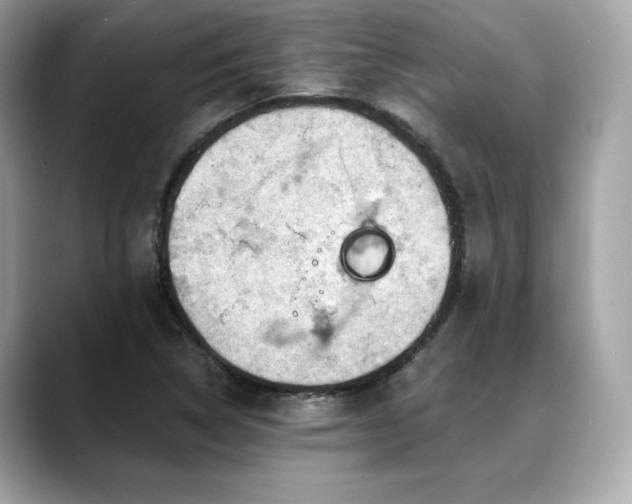 X0000088751314200705311505