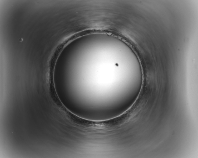 X0000088751315200705311505