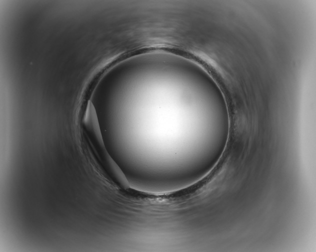 X0000088751317200705311505