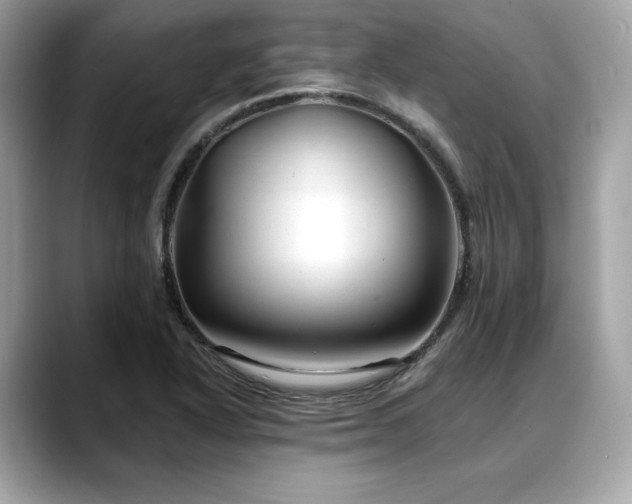 X0000088751318200705311505