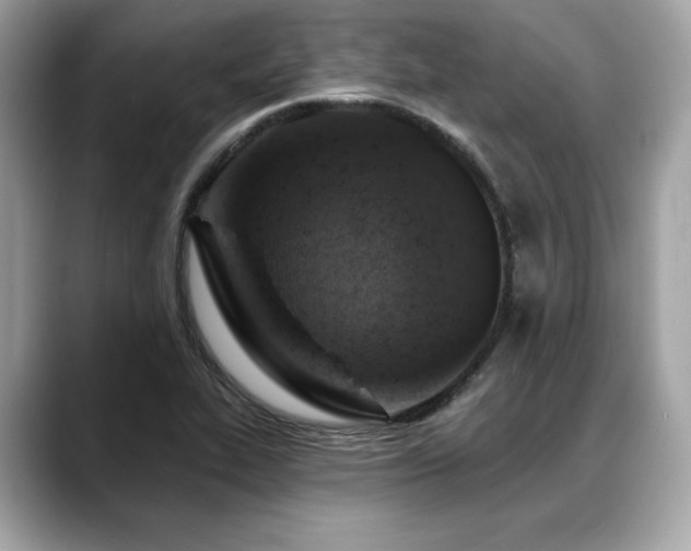 X0000088751319200705311505