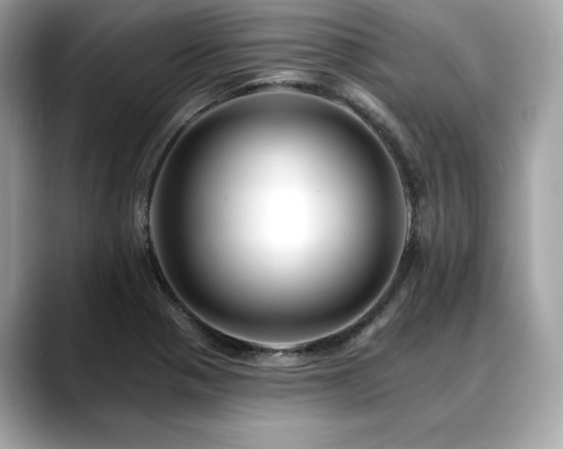 X0000088751321200705311505