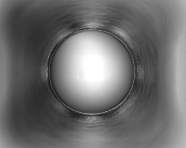X0000088751322200705311505
