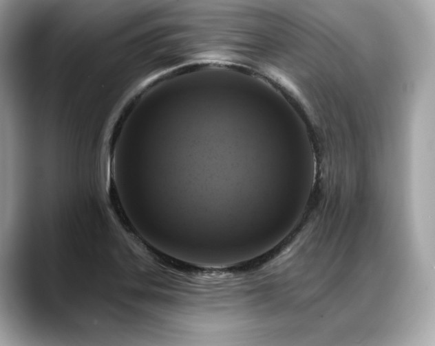 X0000088751323200705311505