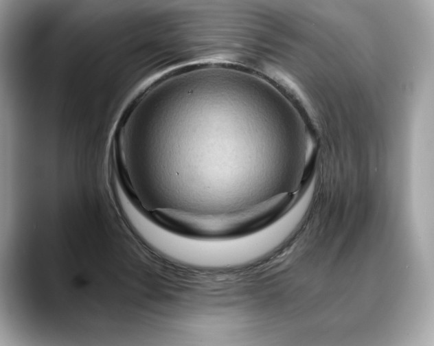 X0000088751324200705311505