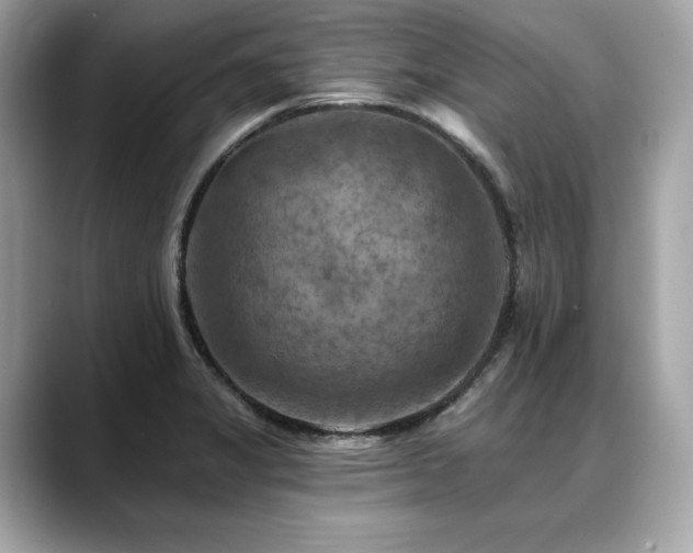 X0000088751325200705311505