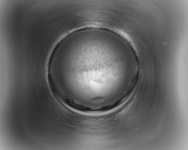X0000088751326200705311505