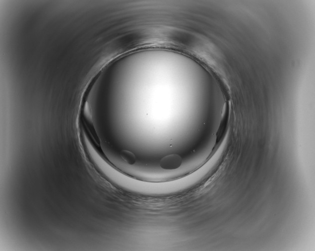 X0000088751330200705311505