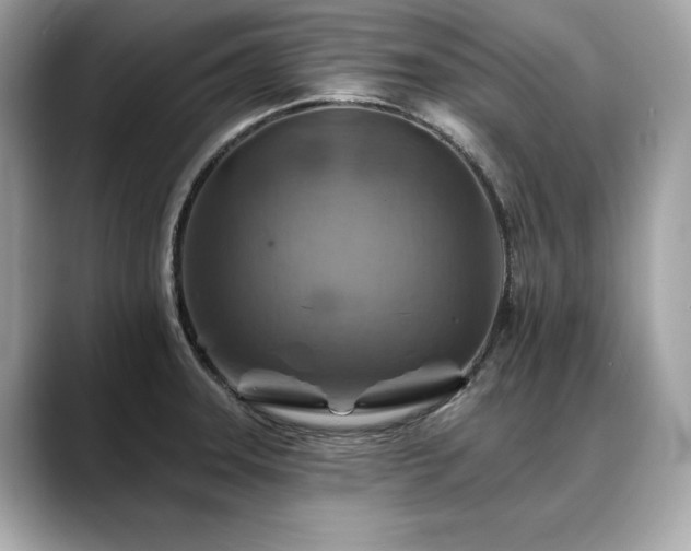 X0000088751331200705311505