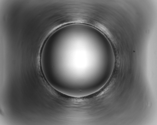 X0000088751332200705311505