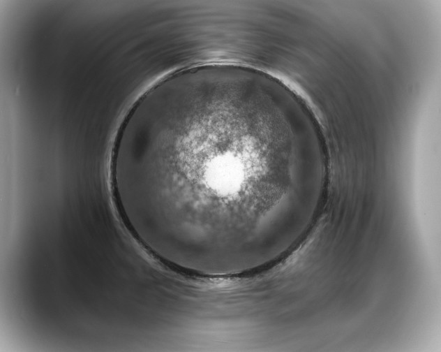 X0000088751333200705311505