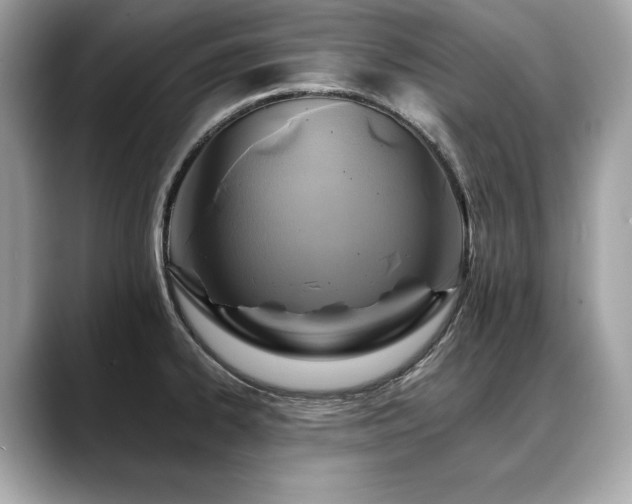 X0000088751334200705311505