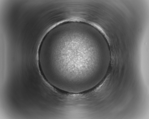 X0000088751335200705311505