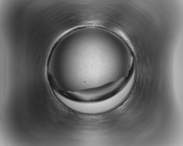 X0000088751336200705311505