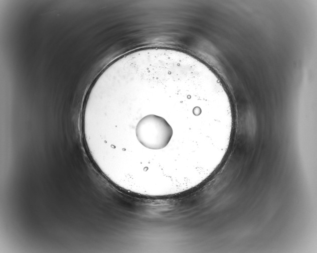 X0000088751338200705311505