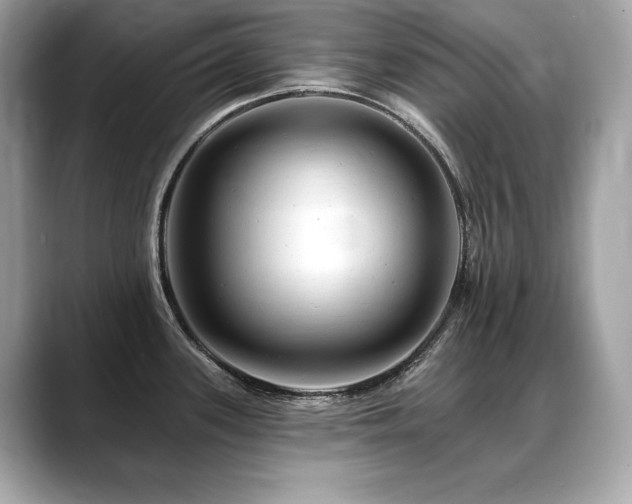 X0000088751339200705311505