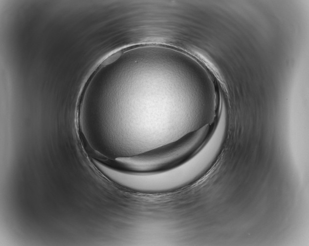 X0000088751340200705311505