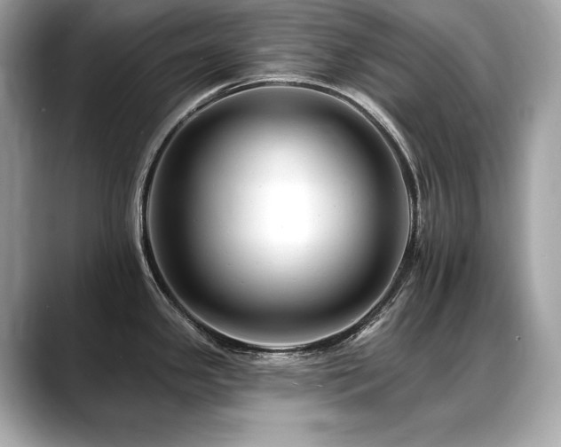 X0000088751341200705311505