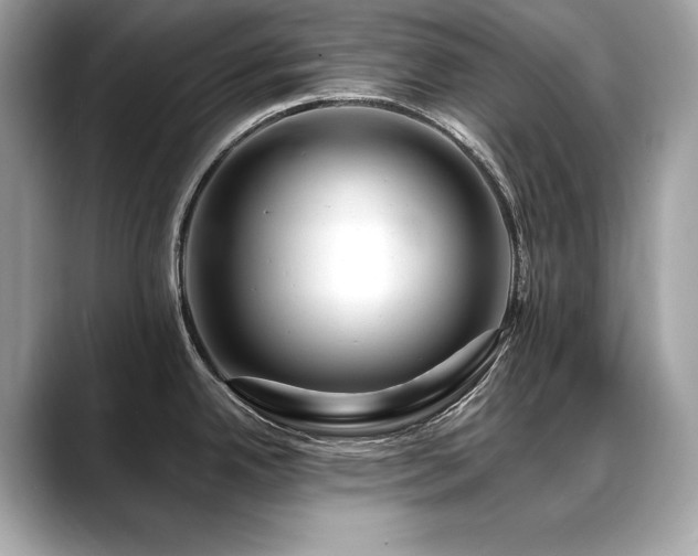 X0000088751342200705311505