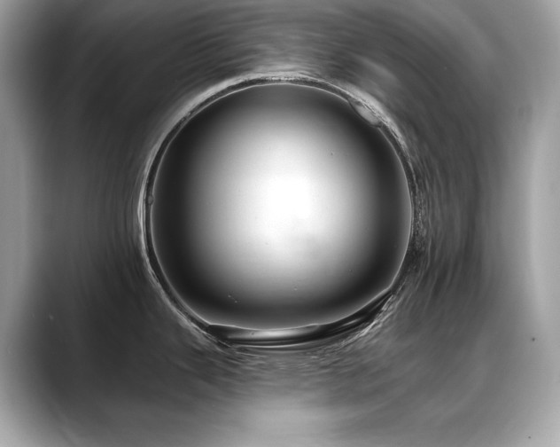 X0000088751343200705311505