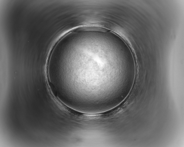 X0000088751344200705311505