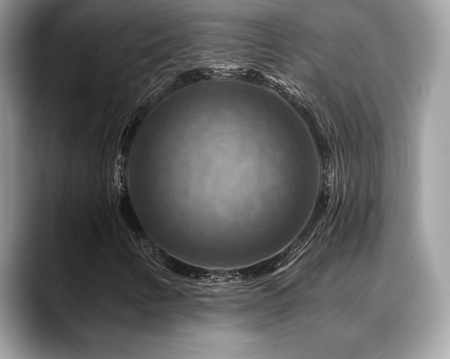X0000088751346200705311504