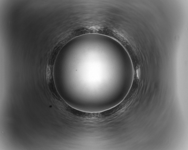 X0000088751347200705311504