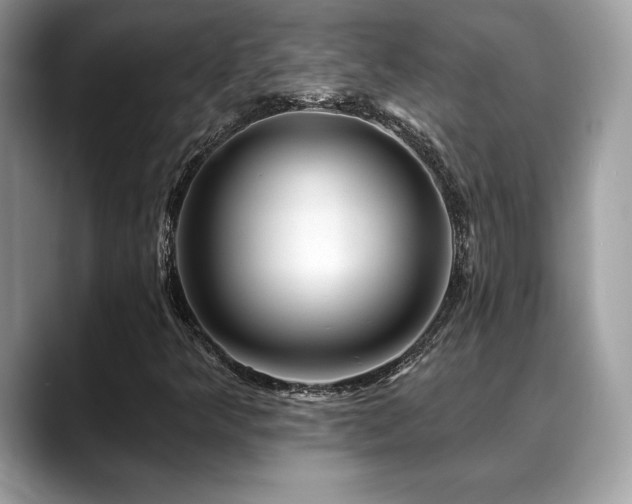 X0000088751349200705311504