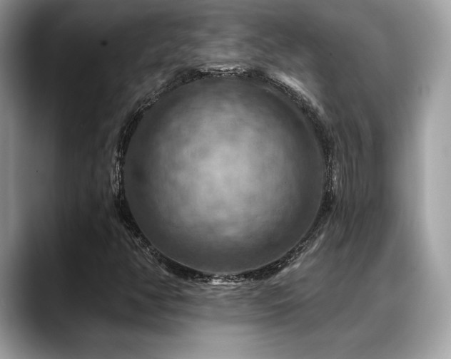 X0000088751350200705311504