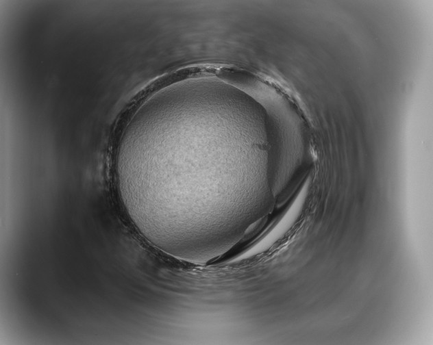 X0000088751352200705311504