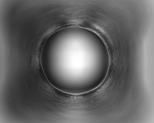X0000088751354200705311504