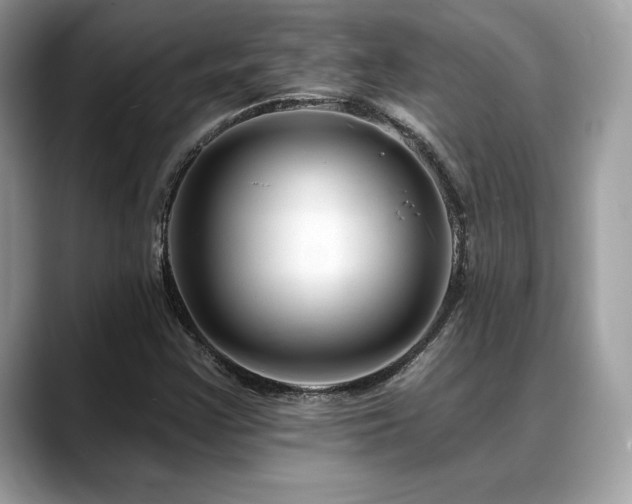 X0000088751355200705311504