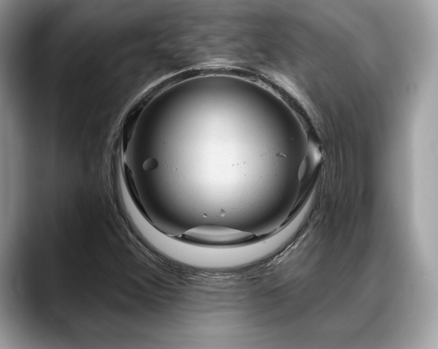 X0000088751356200705311504