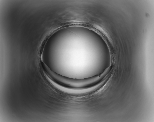 X0000088751357200705311504