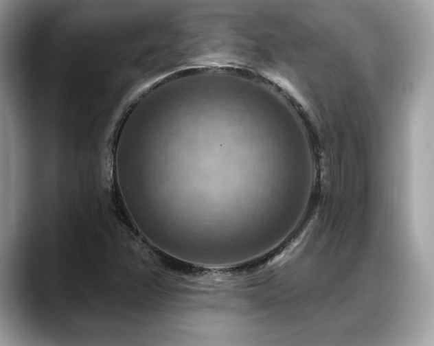 X0000088751358200705311504