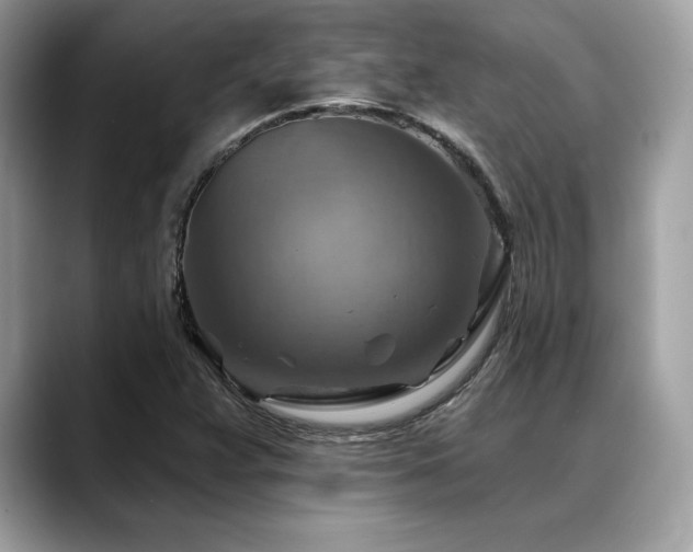 X0000088751359200705311504
