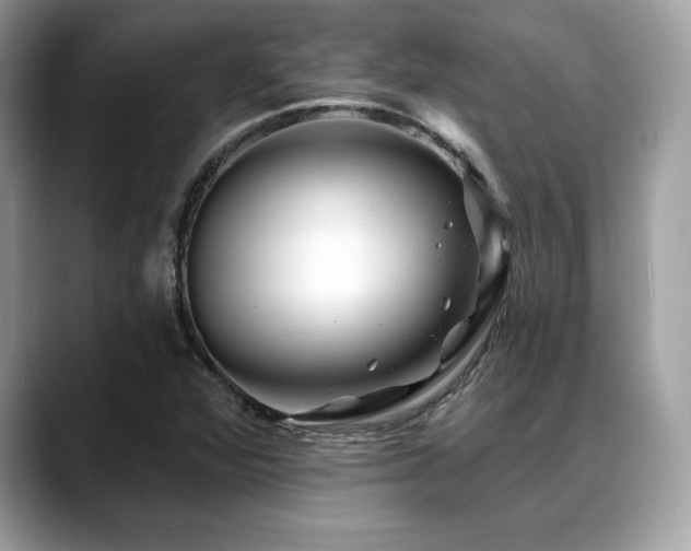 X0000088751360200705311504