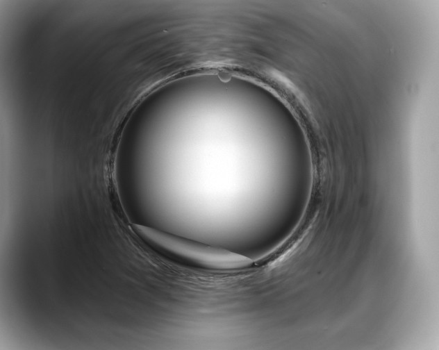 X0000088751361200705311504